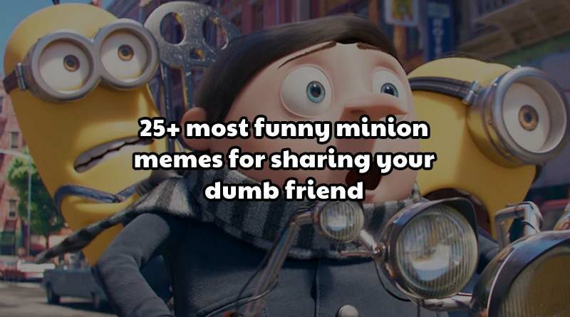 Most Funny Minion Memes For Sharing Your Dumb Friend